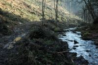 06 schwere beschaedigungen am